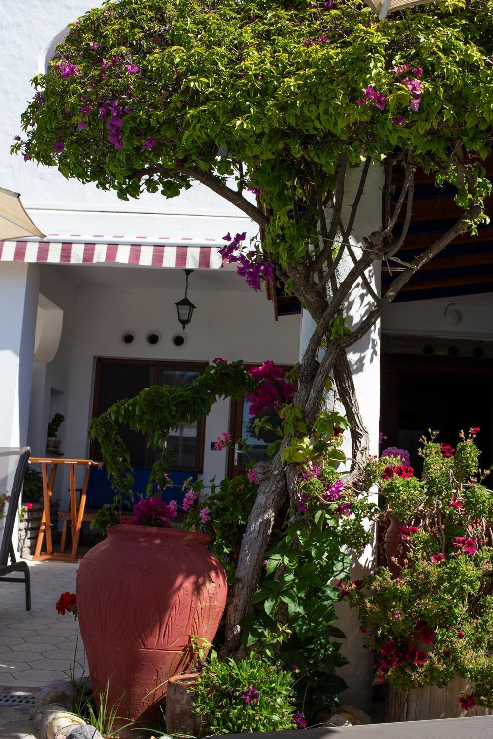 UzHan Beach Hotel Bitez Exterior foto
